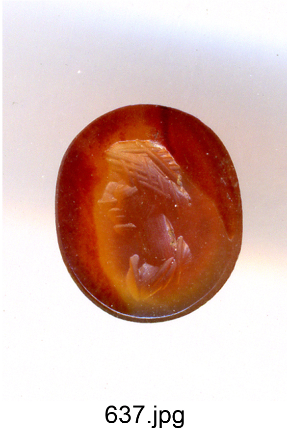 testa d'uomo di profilo (gemma) - produzione italiana (secc. XVI/ XVII)