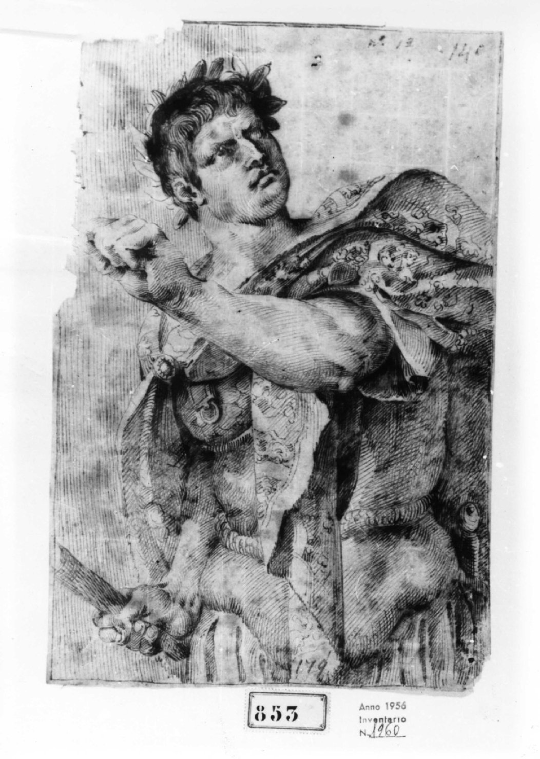 Busto di Imperatore romano, busto ritratto d'uomo (disegno, serie) di Passerotti Bartolomeo (scuola) (ultimo quarto sec. XVI)
