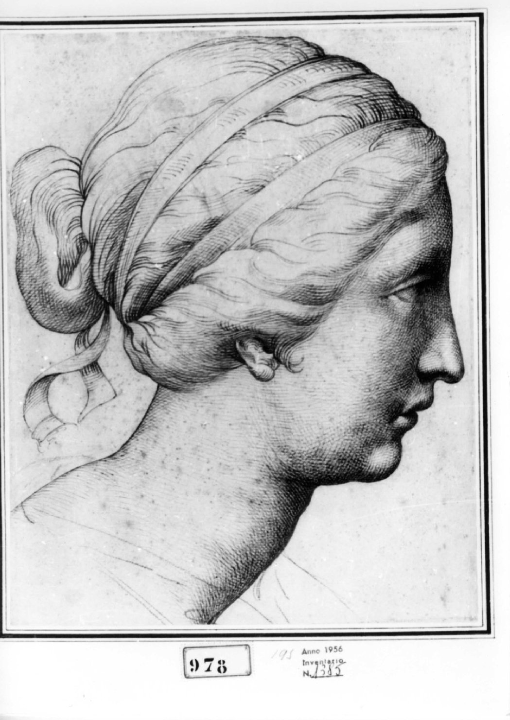 Profilo femminile (testa di Niobe), testa di donna (disegno, opera isolata) - ambito bolognese-emiliano (fine/inizio secc. XVI/ XVII)