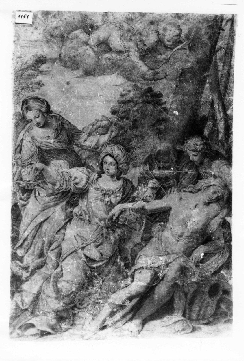 San Sebastiano curato da Irene, San Sebastiano curato da Irene (disegno, opera isolata) - ambito modenese (seconda metà sec. XVII)