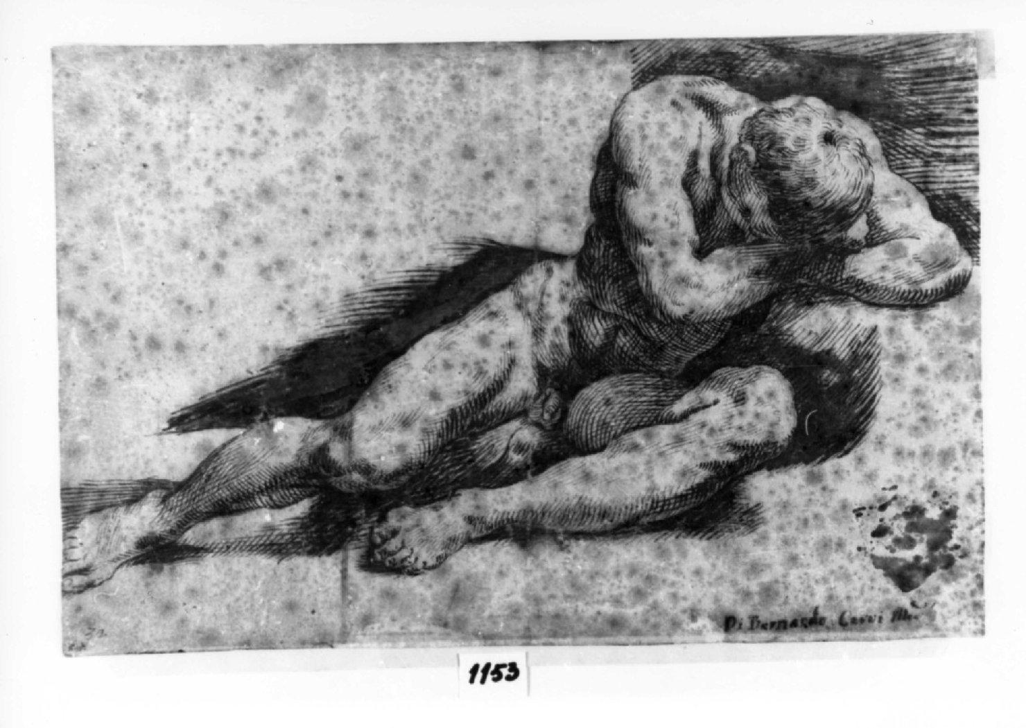 Nudo maschile seduto, giovane nudo (disegno, opera isolata) di Passerotti Bartolomeo (scuola) (seconda metà sec. XVI)
