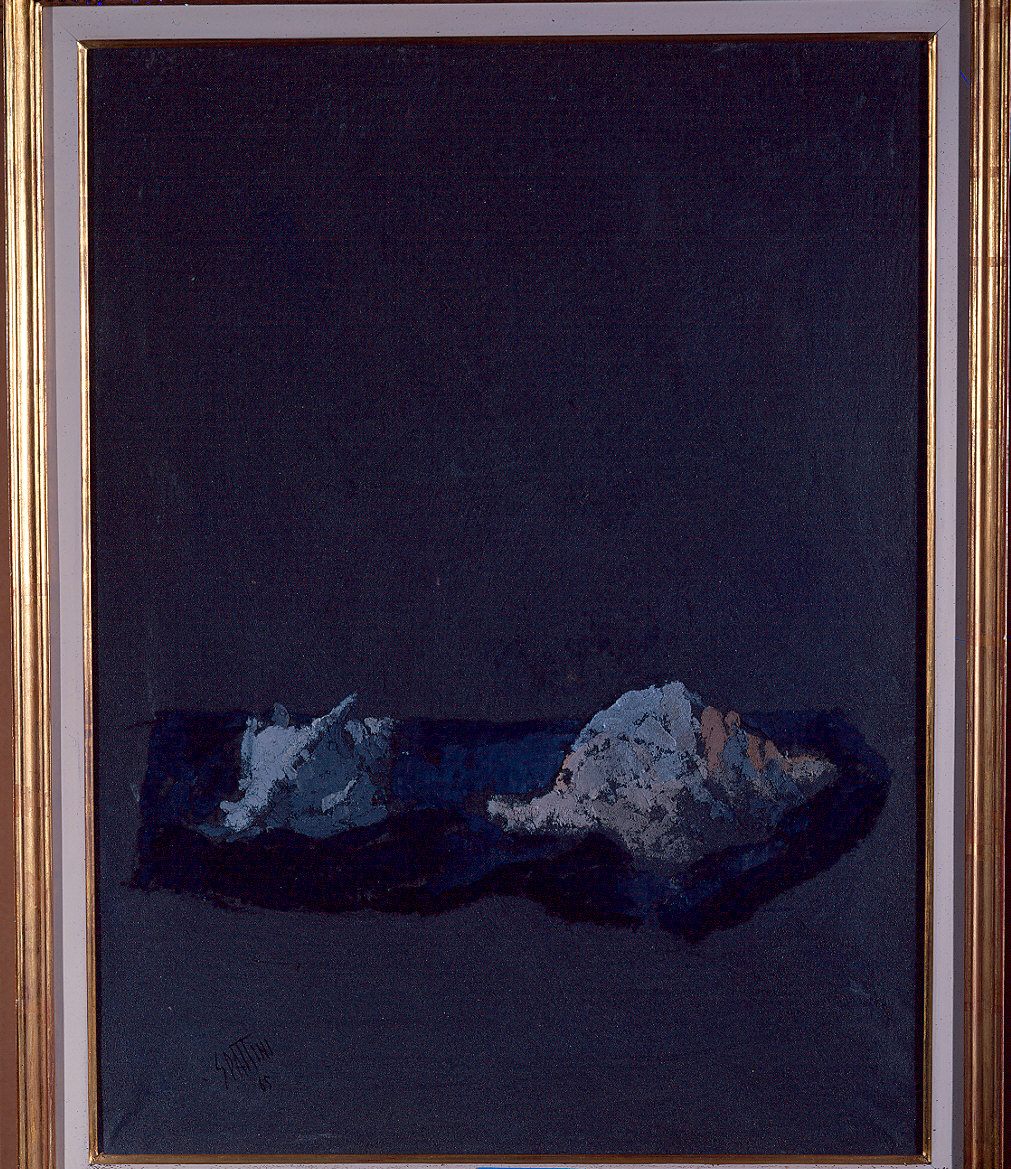 Conchiglie (dipinto) di Spattini Claudio (sec. XX)