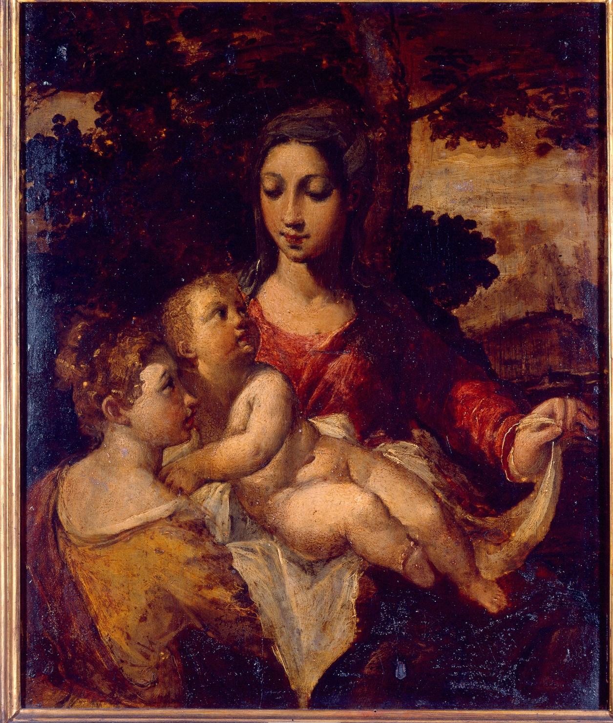 Madonna col Bambino e santa Caterina (dipinto) di Scarsella Ippolito detto Scarsellino (sec. XVI)