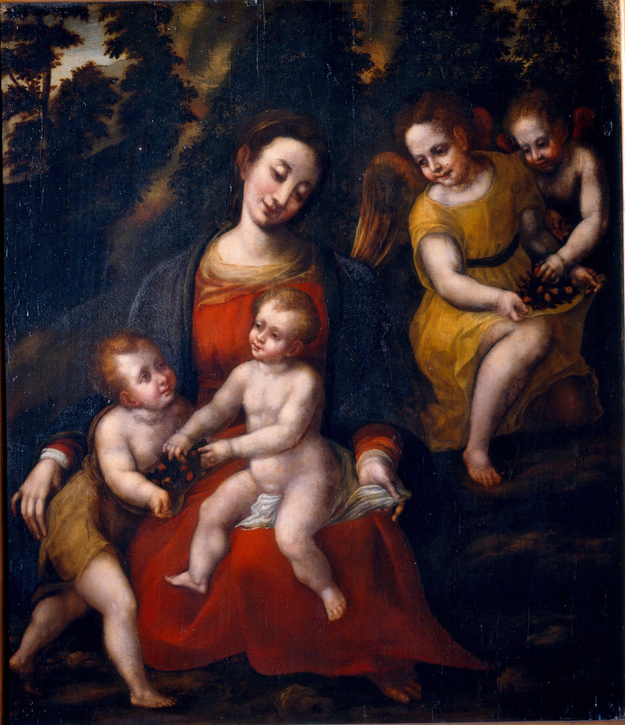 Madonna col Bambino, san Giovannino e angeli (dipinto) di Allegri Pomponio (seconda metà sec. XVI)