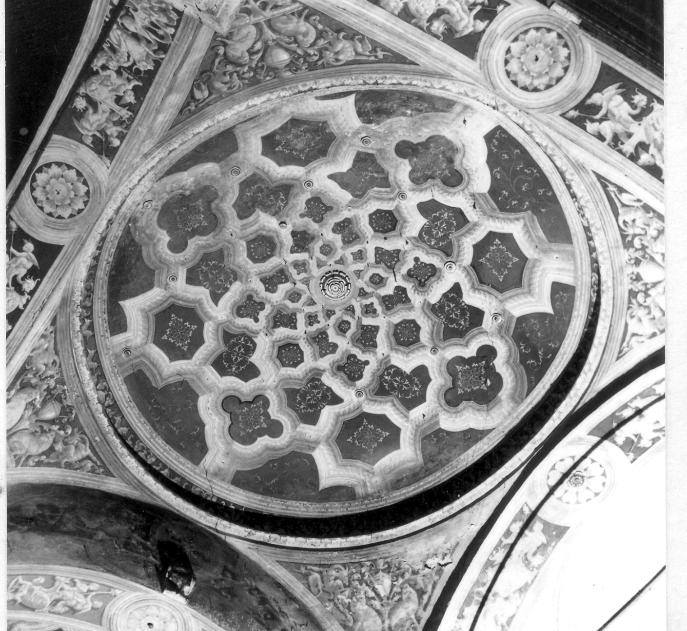 decorazione pittorica di Zacchetti Bernardino (sec. XVI)