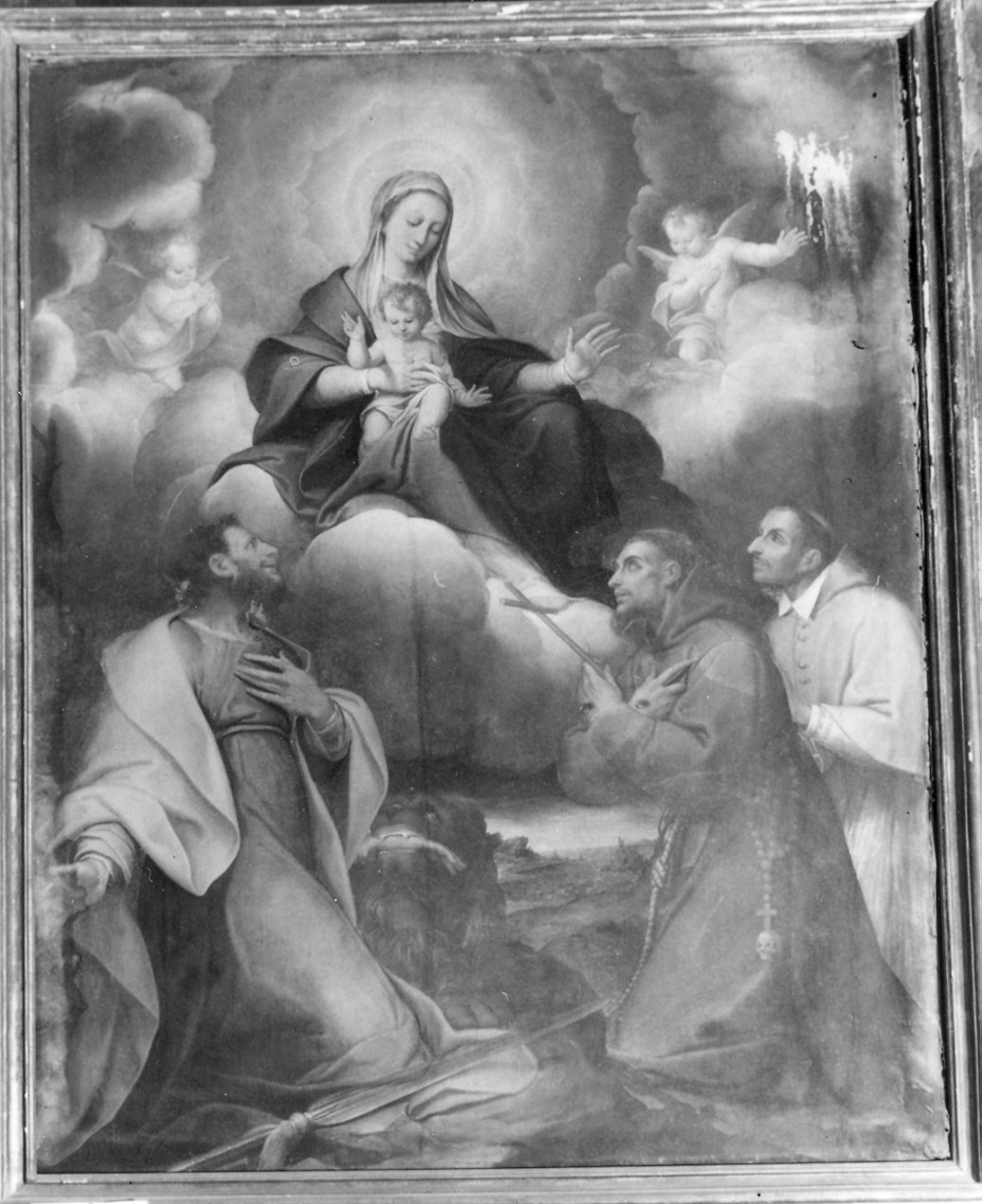 Madonna in gloria con i santi Tommaso, Carlo e Francesco (dipinto) di Procaccini Camillo (inizio sec. XVII)