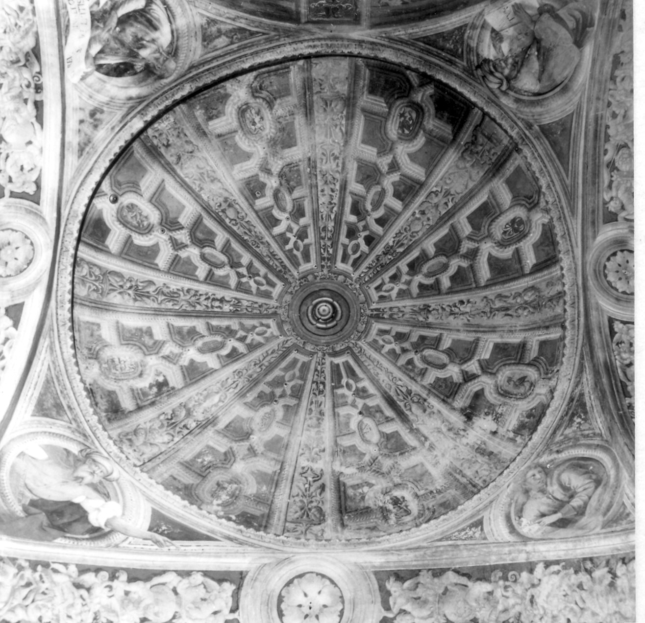 decorazione pittorica di Zacchetti Bernardino (sec. XVI)