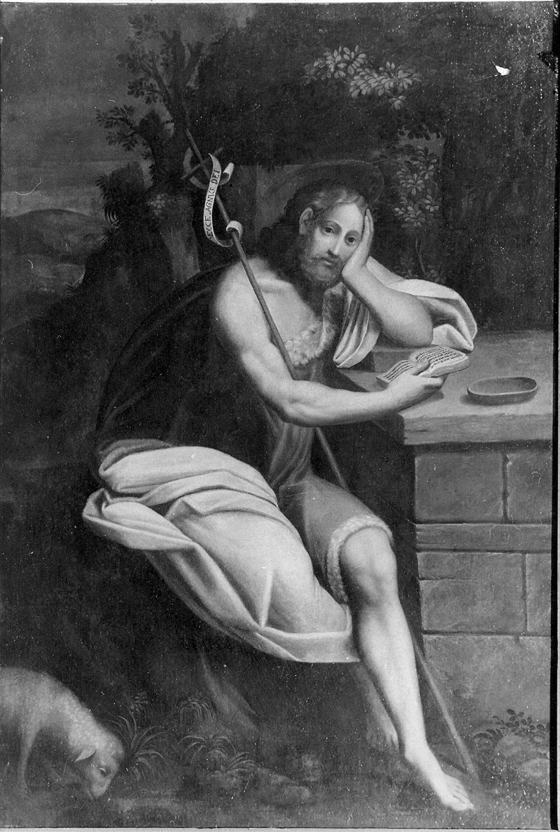 San Giovanni Battista (dipinto) di Mazzola Bedoli Girolamo (sec. XVI)