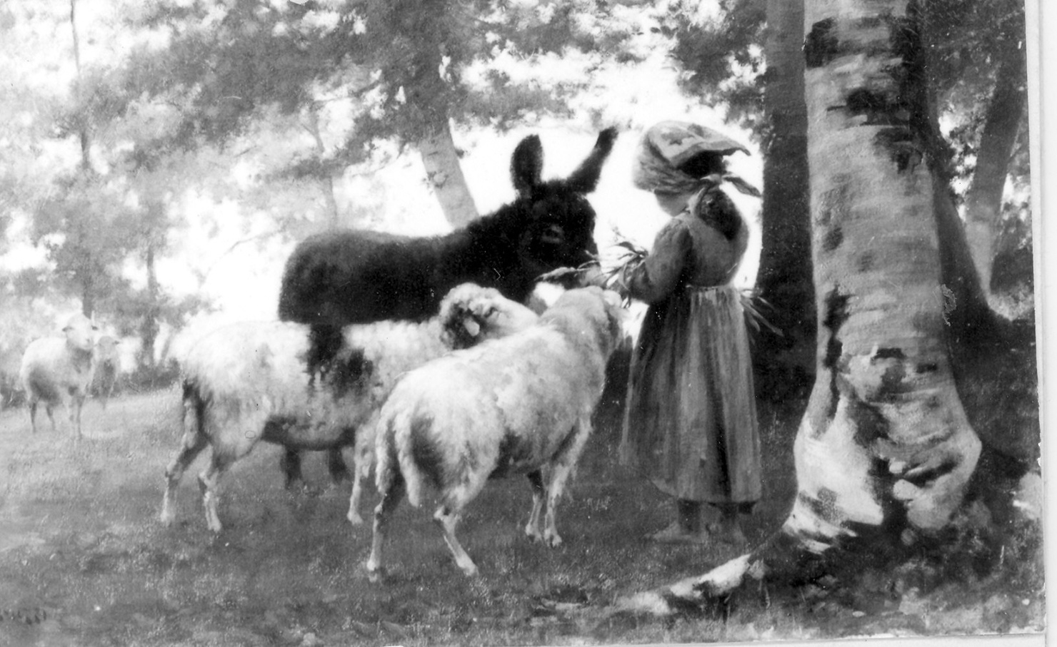 pastorella al pascolo (dipinto) di Bruzzi Stefano (sec. XIX)