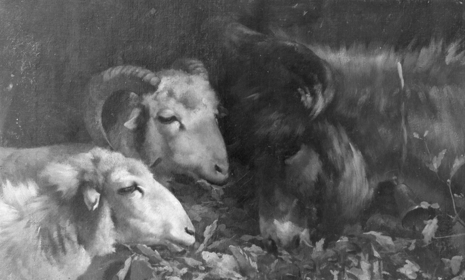 due pecore e un asino (dipinto) di Bruzzi Stefano (sec. XIX)