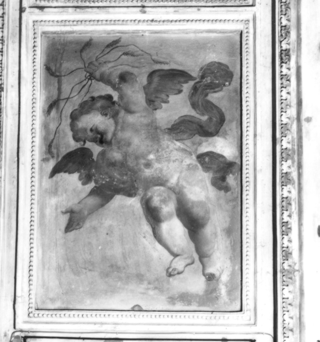 angioletti (dipinto, ciclo) di De Longe Robert detto Fiammingo (ultimo quarto sec. XVII)
