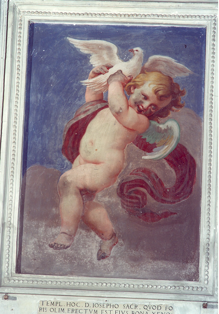 angioletto (dipinto, elemento d'insieme) di De Longe Robert detto Fiammingo (ultimo quarto sec. XVII)
