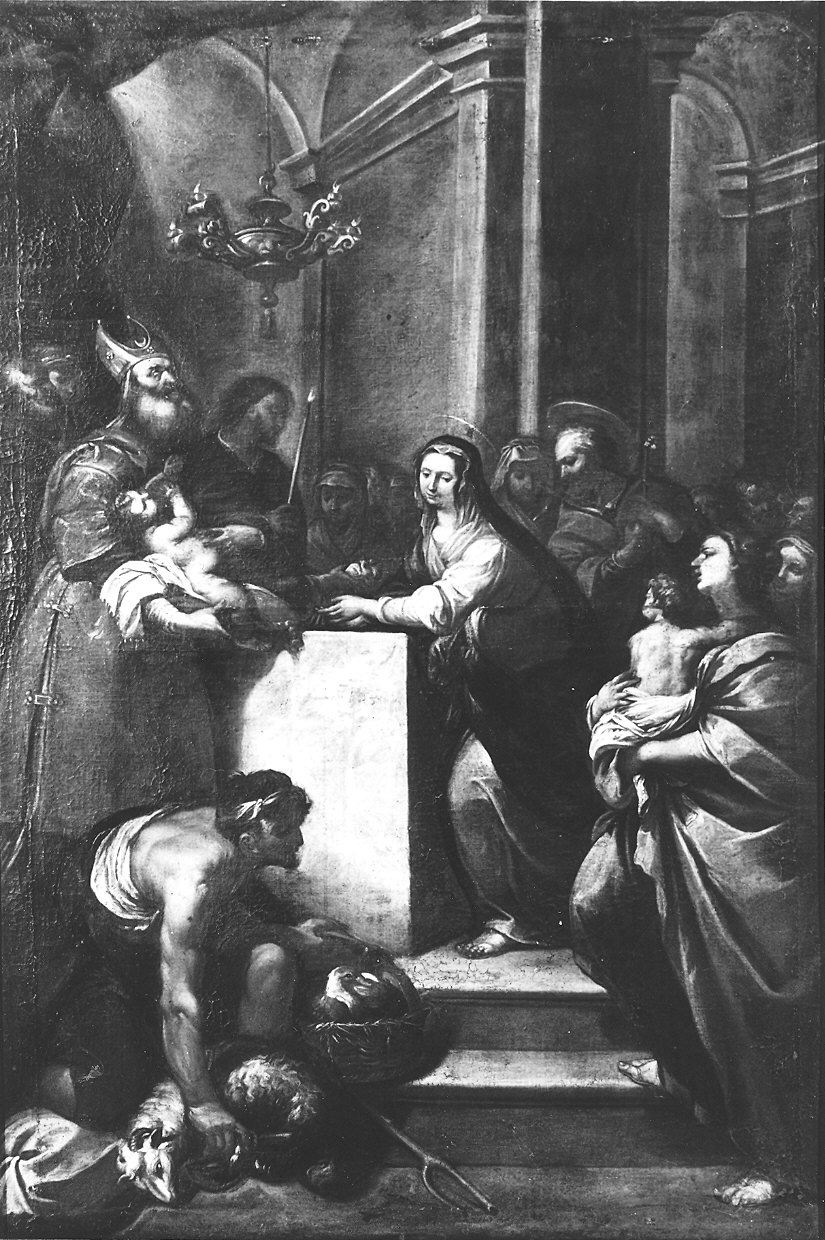 circoncisione di Gesù Bambino (dipinto) di Franceschini Marco Antonio (sec. XVII)