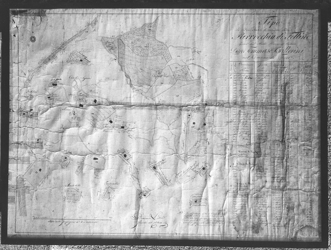 Tipo dei beni stabili della Parrocchia di Fellino (pianta topografica) - ambito emiliano-lombardo (sec. XIX)