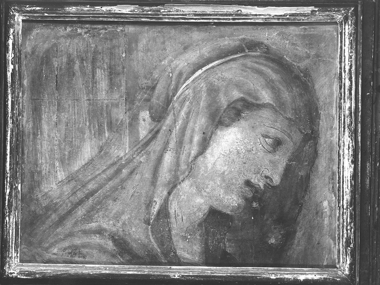 Madonna (dipinto, frammento) di Campi Antonio (sec. XVI)