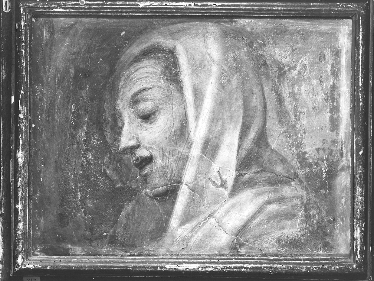 Sant'Elisabetta (dipinto, frammento) di Campi Antonio (sec. XVI)