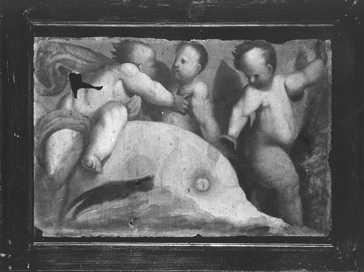 tre putti che giocano con un delfino (dipinto) di Baderna Bartolomeo (attribuito) (metà sec. XVII)