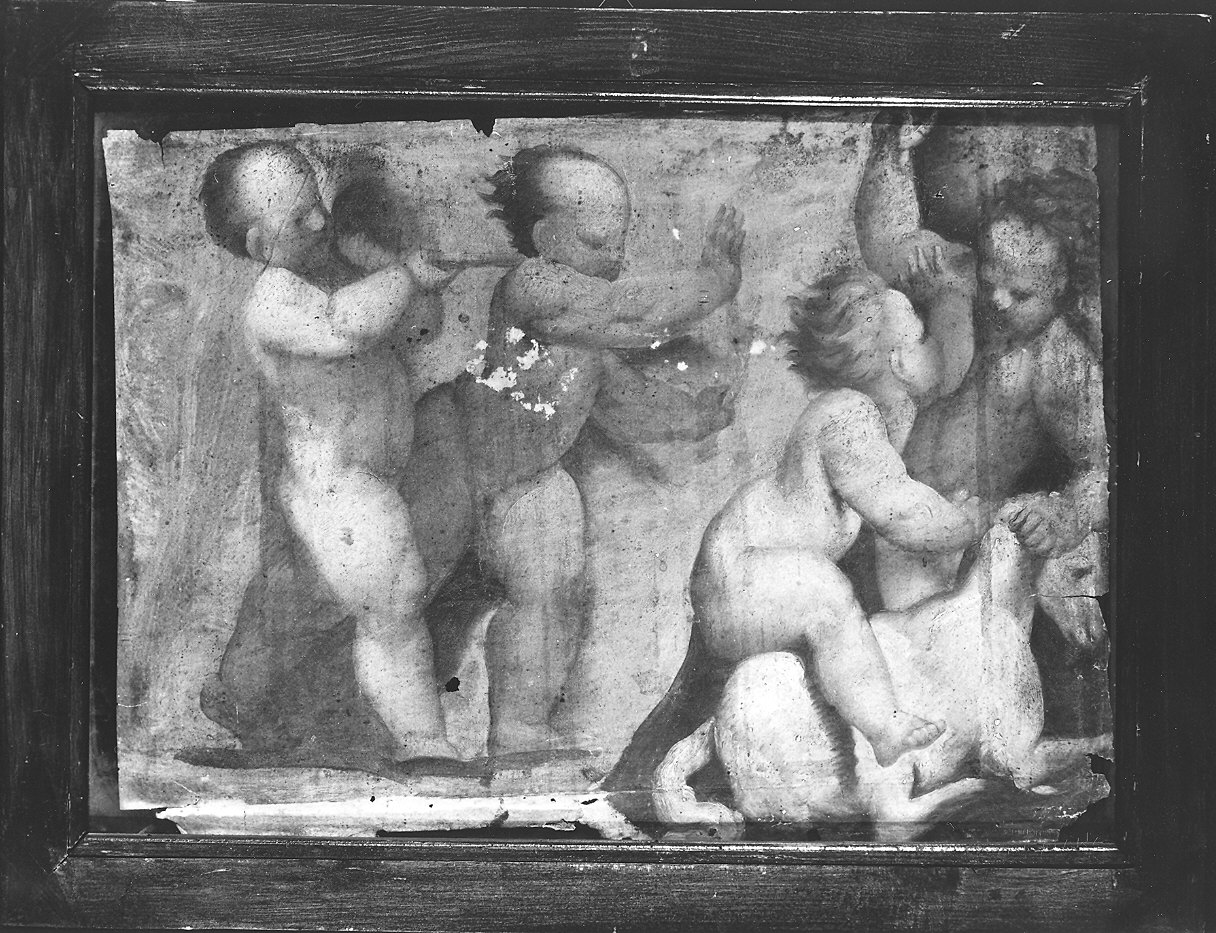 quattro putti che giocano con una capra (dipinto) di Baderna Bartolomeo (attribuito) (metà sec. XVII)