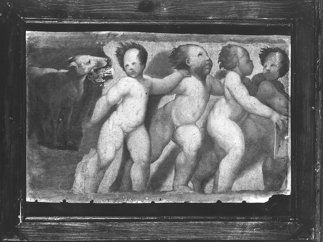 un levriero e quattro putti che giocano (dipinto) di Baderna Bartolomeo (attribuito) (metà sec. XVII)