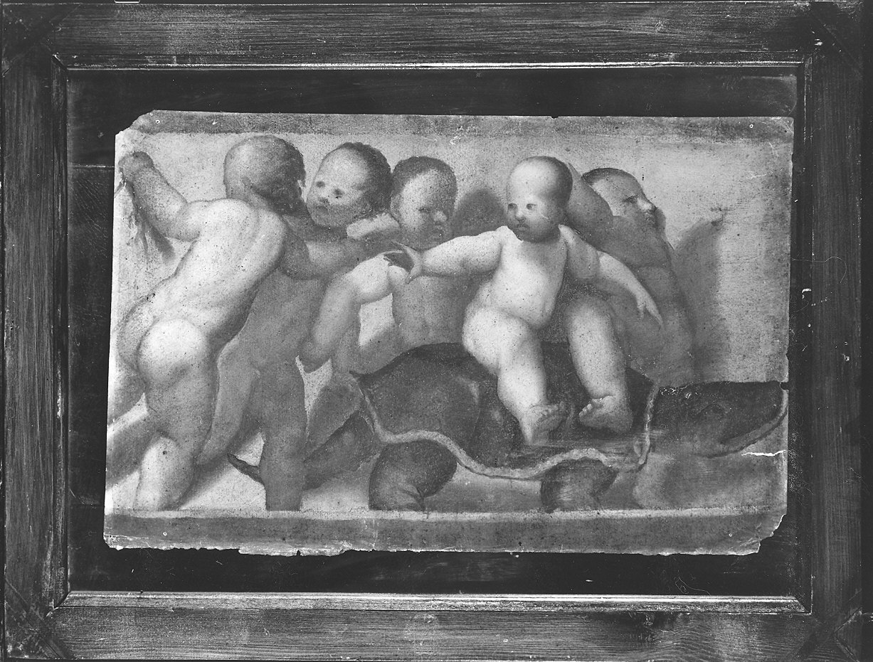 cinque putti che giocano con una tartaruga (dipinto) di Baderna Bartolomeo (attribuito) (metà sec. XVII)
