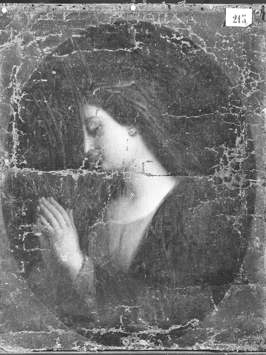 Madonna orante (dipinto) di De Ferrari Gregorio (attribuito) (fine sec. XVII)
