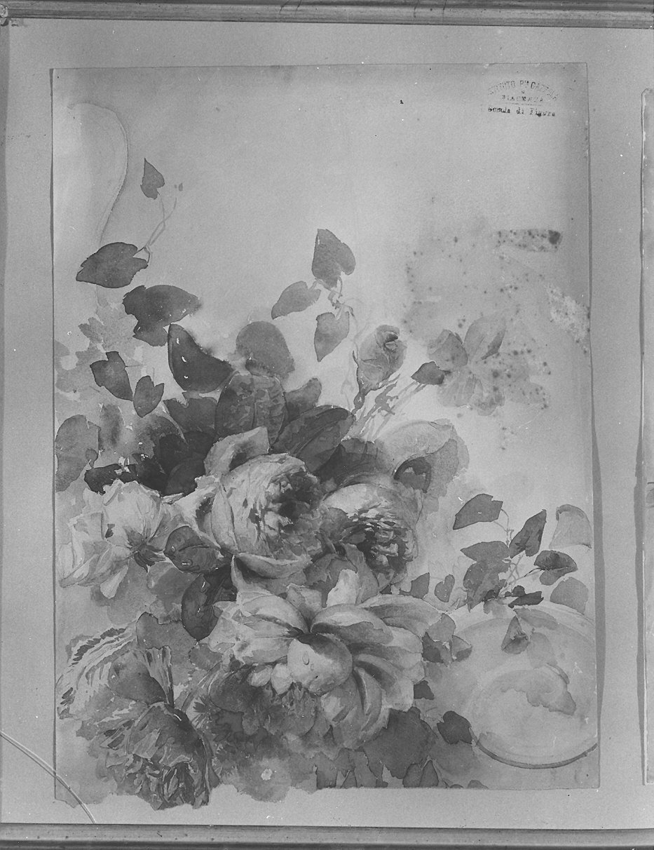 rose (dipinto) di Scrosati Luigi (sec. XIX)