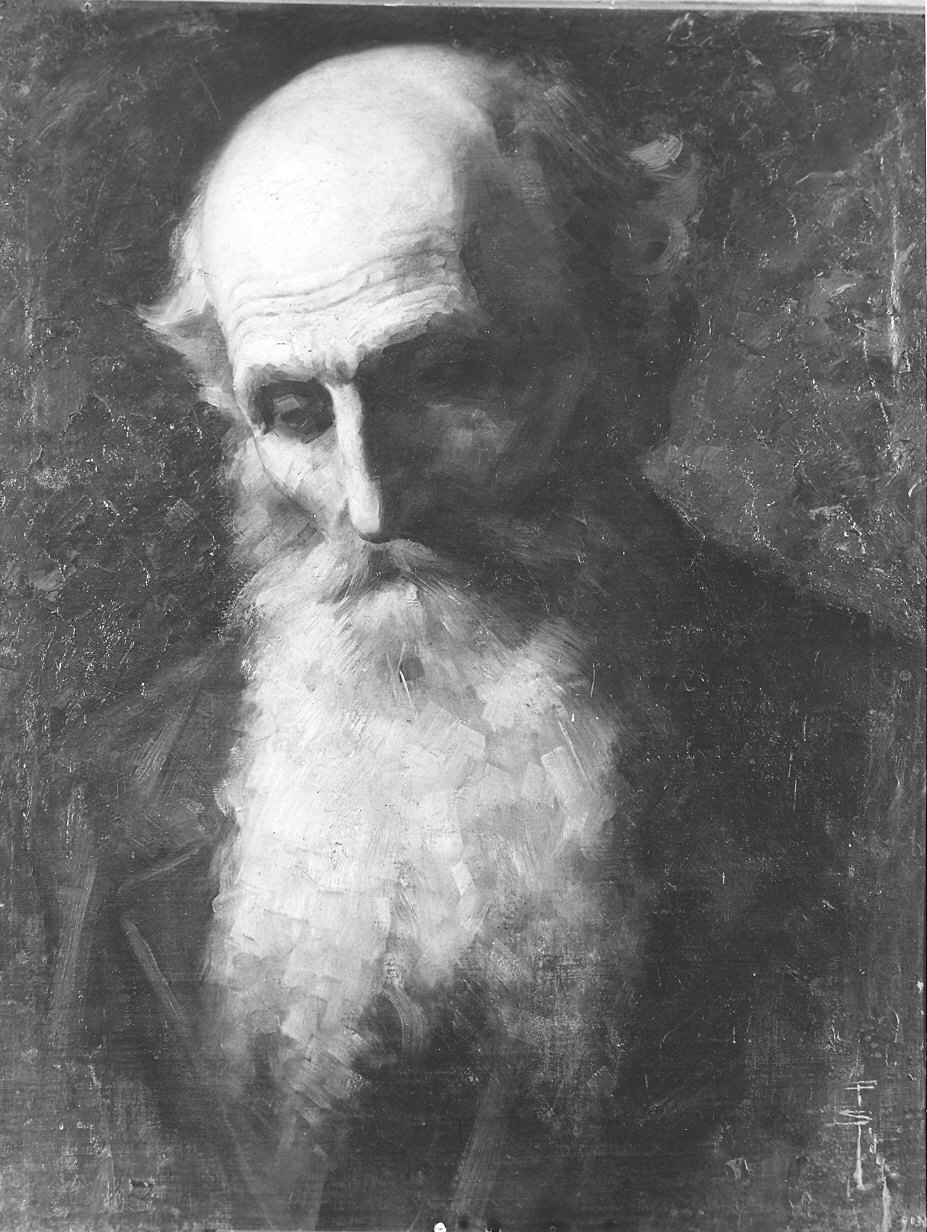 testa di vecchio (dipinto) di Sidoli Pacifico (sec. XX)