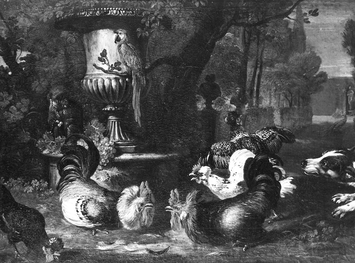 zuffa di galli (dipinto, elemento d'insieme) di Coninck David de (attribuito) (sec. XVII)