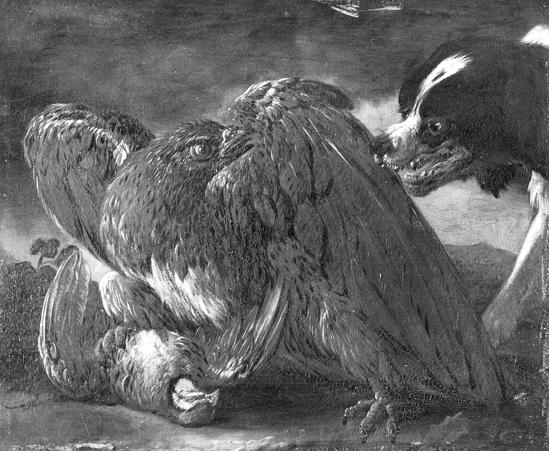 aquila assalita da un cane (dipinto, elemento d'insieme) di Coninck David de (attribuito) (sec. XVII)