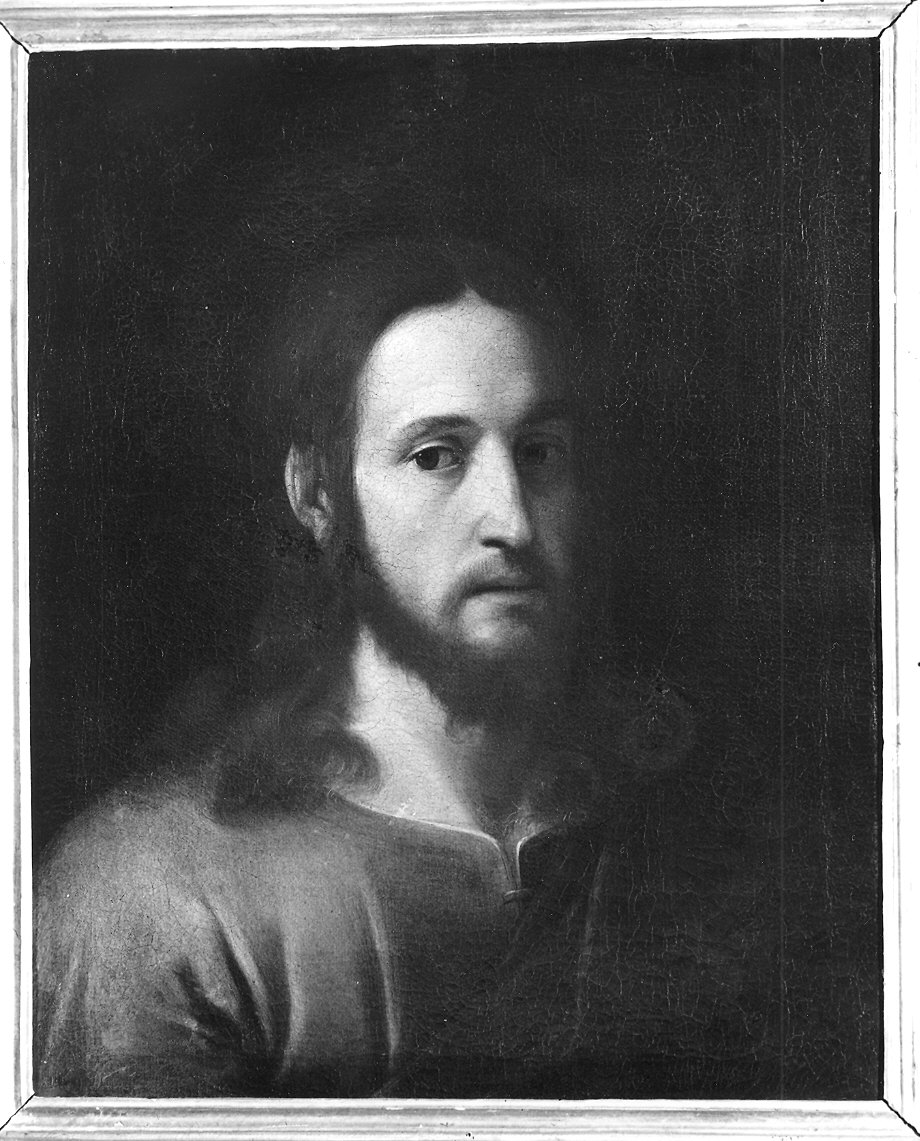 testa di Cristo (dipinto) di Camassei Andrea (prima metà sec. XVII)
