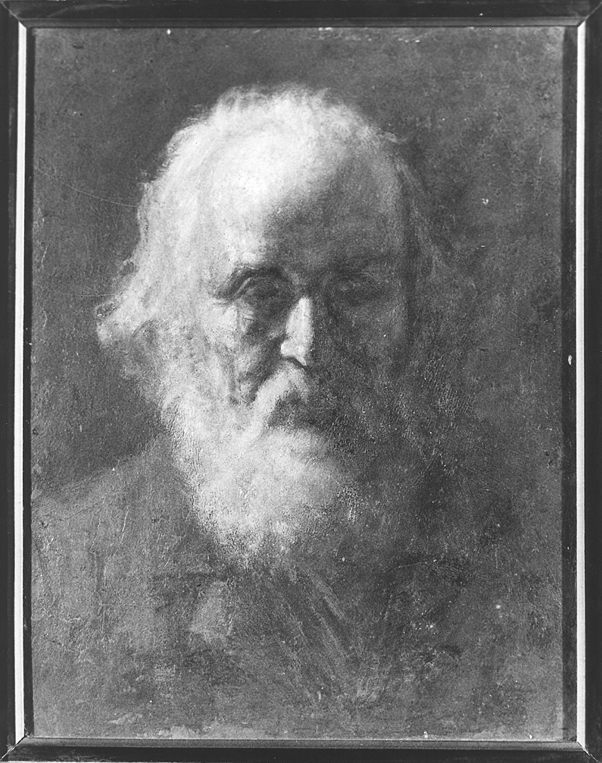 testa di vecchio (dipinto) di Sidoli Pacifico (prima metà sec. XX)