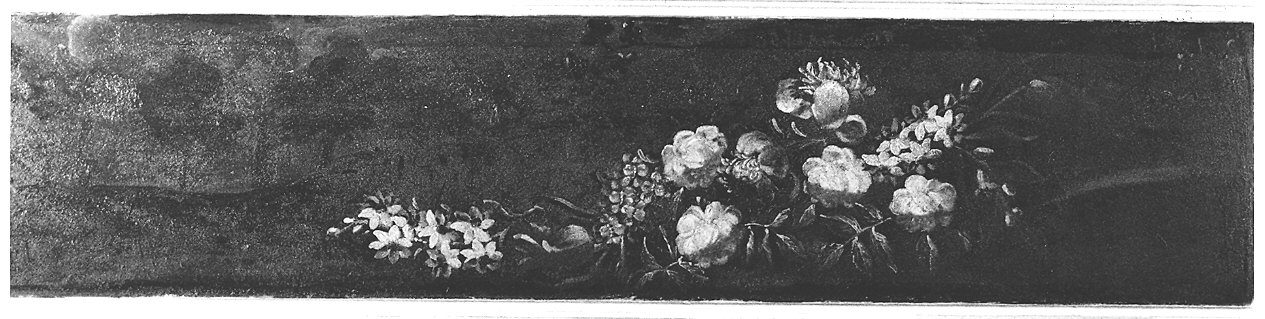 natura morta (dipinto, elemento d'insieme) di Manzoni Giuseppe (sec. XVIII)