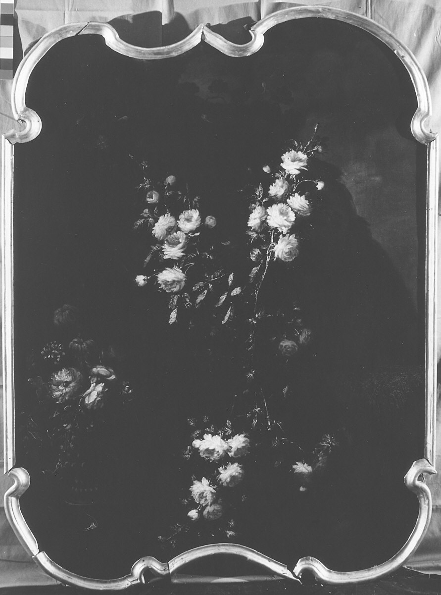 fiori (dipinto, elemento d'insieme) di Caffi Margherita (seconda metà sec. XVII)