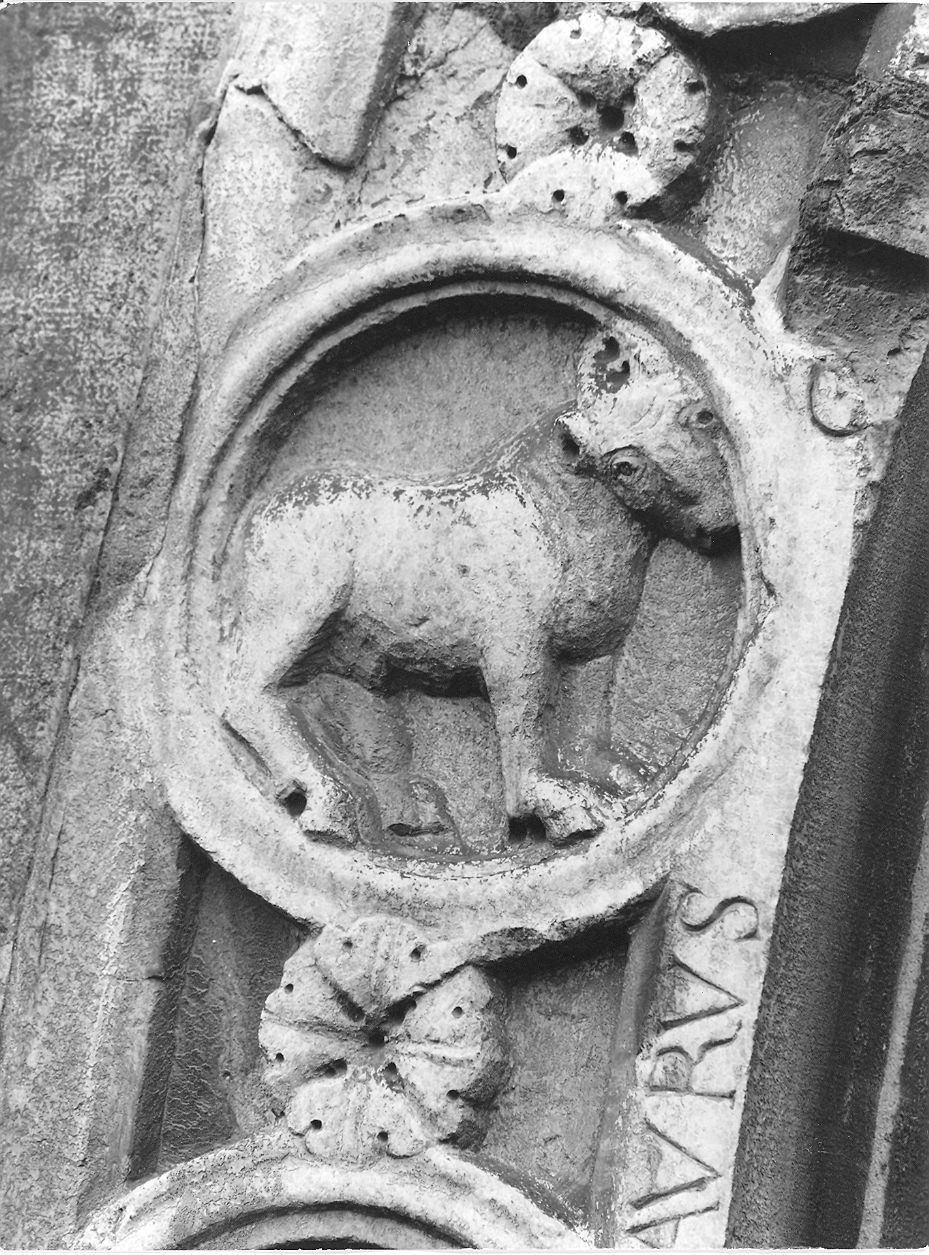 toro (medaglione, elemento d'insieme) di Wiligelmo (bottega) (prima metà sec. XII)