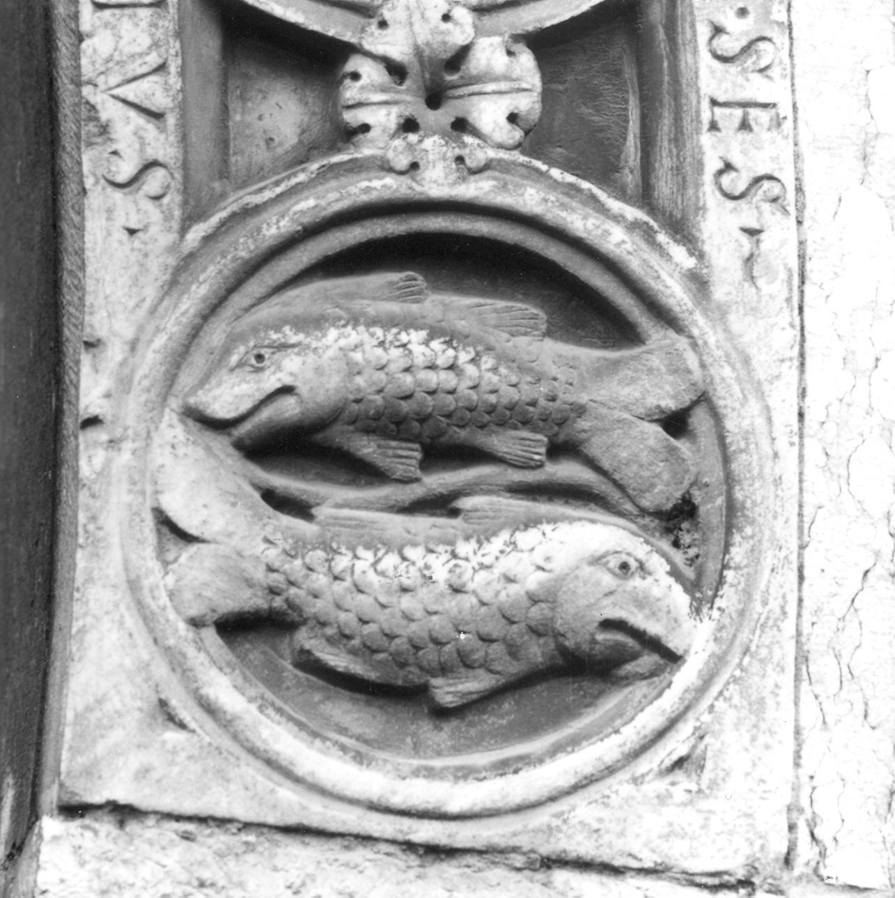 pesci (medaglione, elemento d'insieme) di Nicolò (bottega) (prima metà sec. XII)