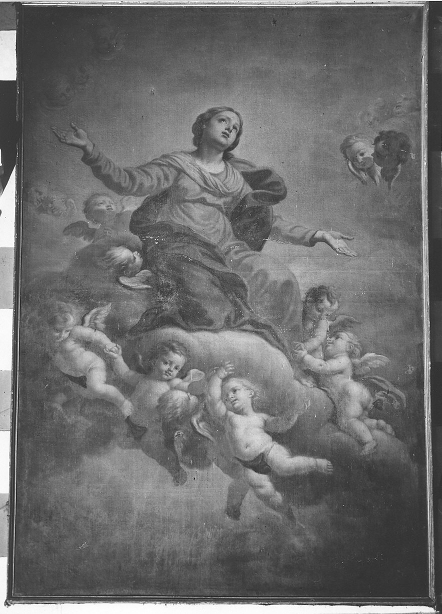Madonna Assunta (dipinto) di De Longe Robert detto Fiammingo (attribuito) (fine sec. XVII)