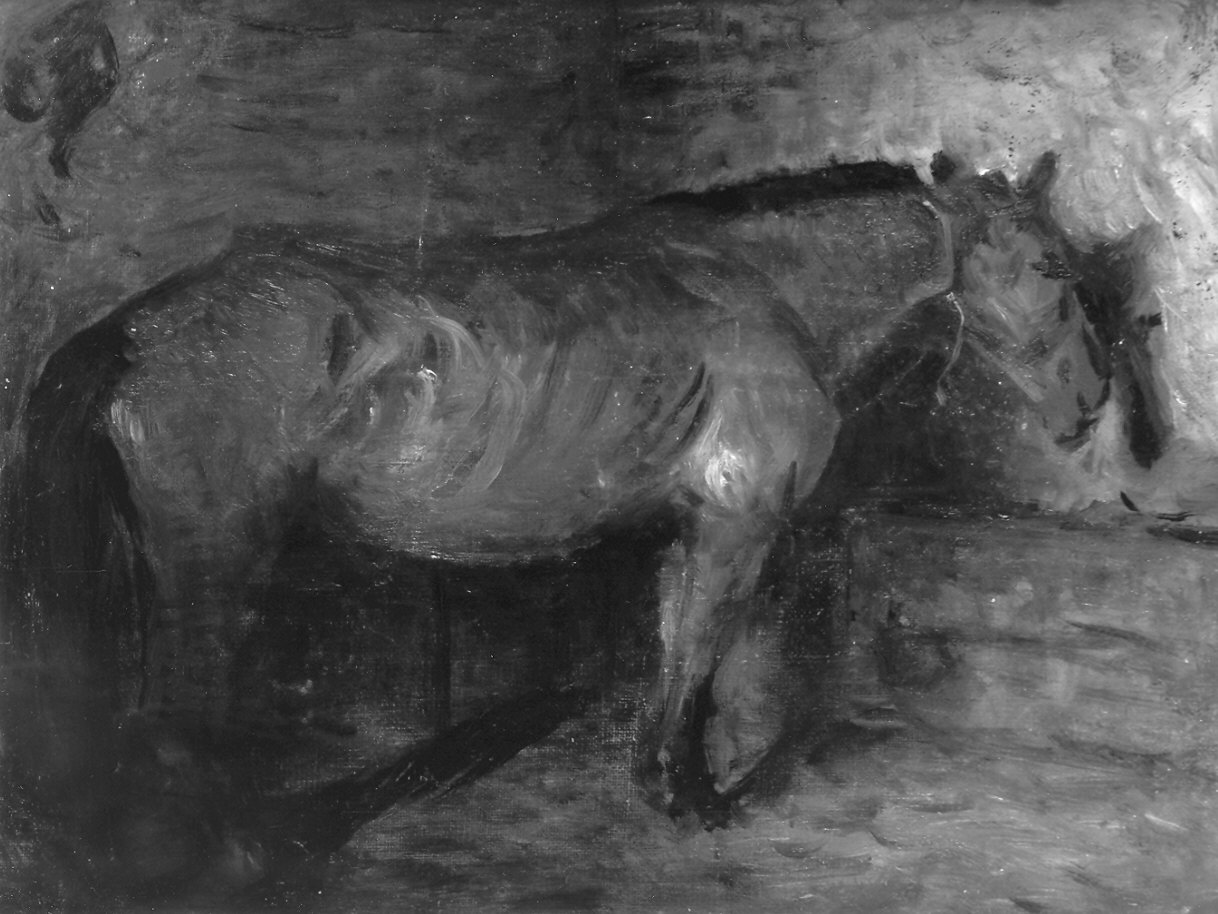 cavallo (dipinto) di Fainardi Riccardo (primo quarto sec. XX)