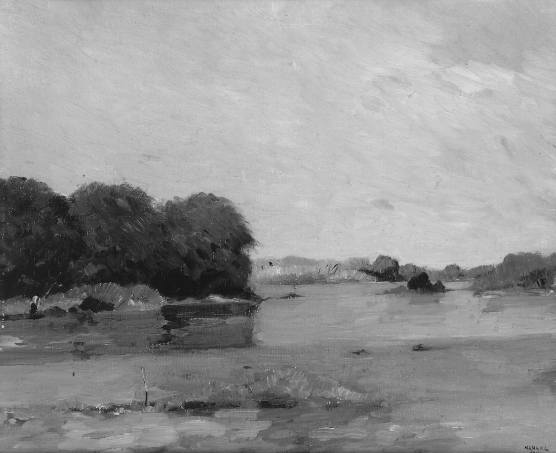 paesaggio nei pressi di Casalmaggiore (dipinto) di Manara Gianfranco (sec. XX)