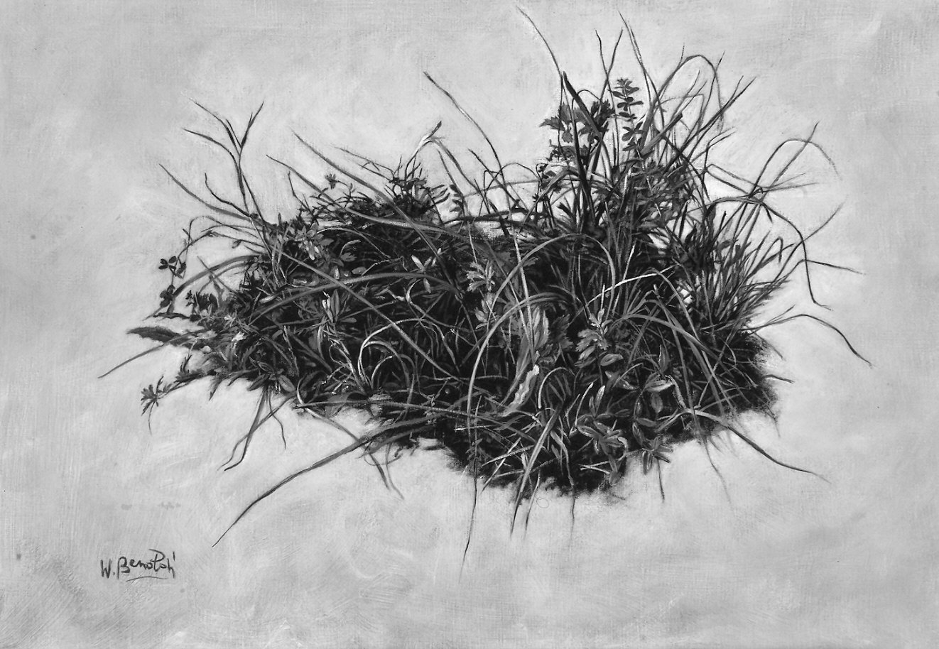 la zolla (dipinto) di Benoldi Walter (sec. XX)