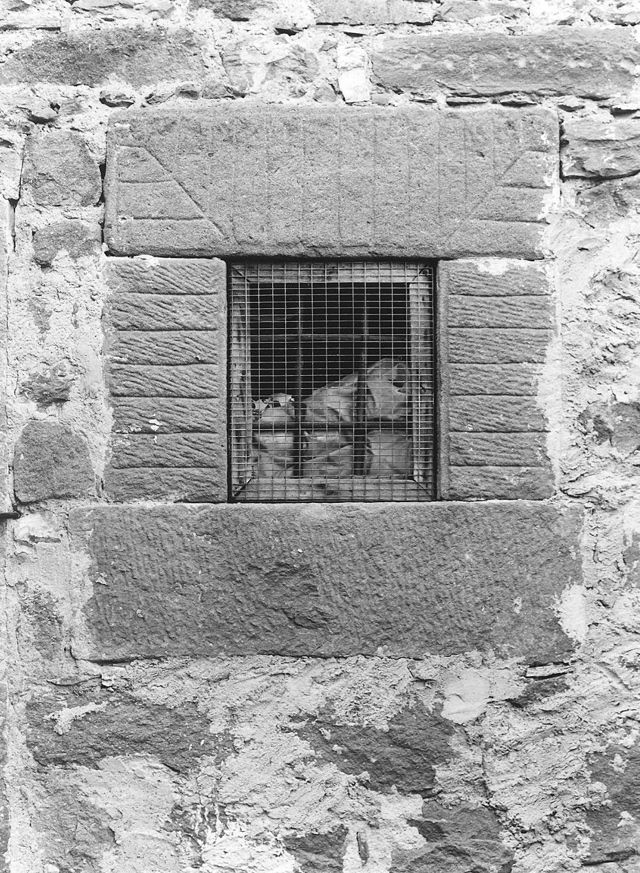 finestrella - ambito parmense (sec. XVIII)