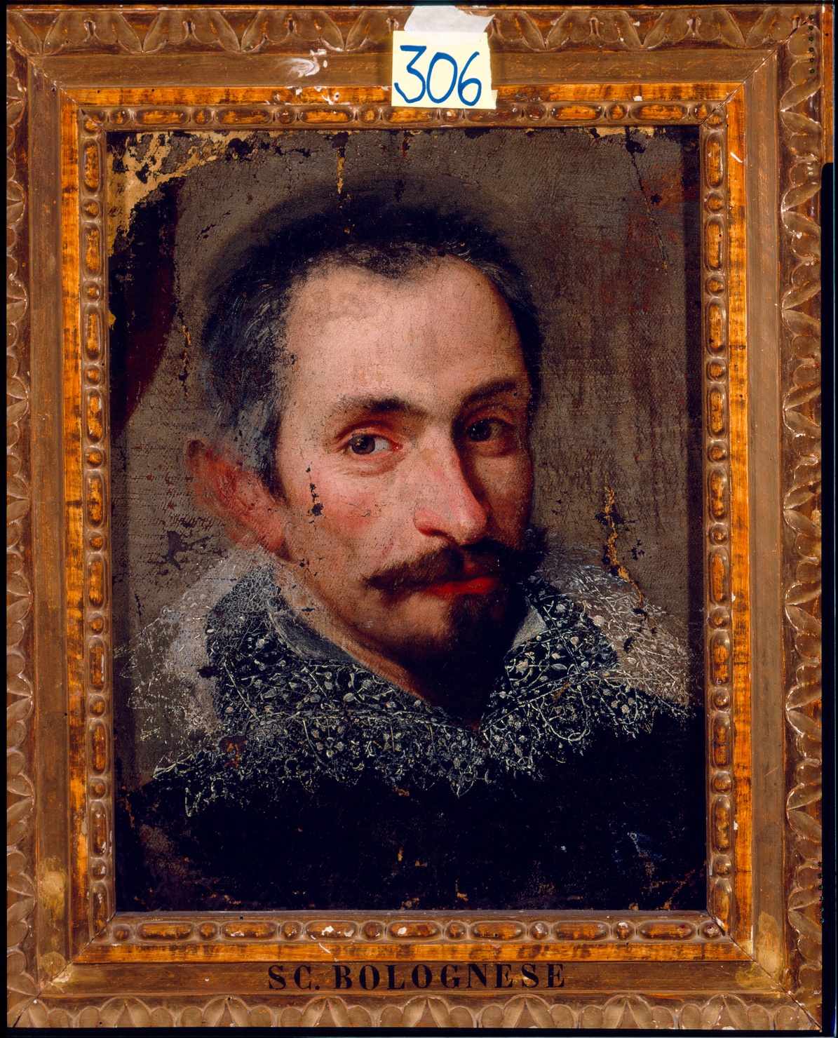 ritratto di gentiluomo (dipinto) di Aretusi Cesare (attribuito) (sec. XVI)