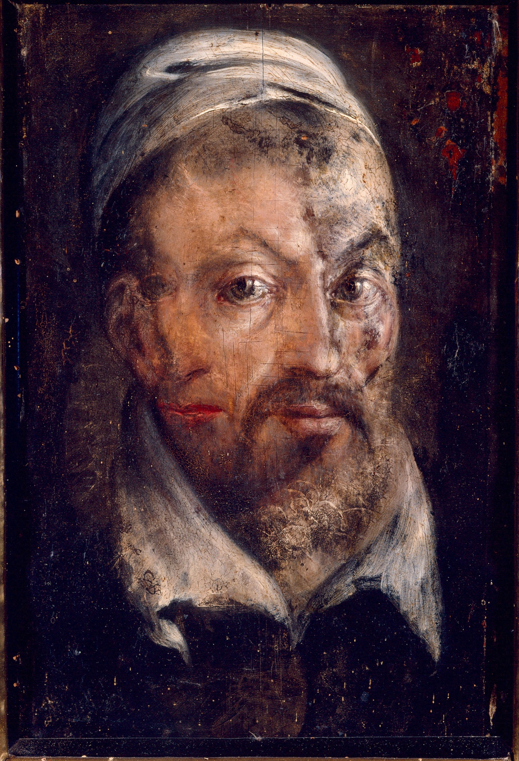 ritratto presunto di Correggio (dipinto) - ambito parmense (seconda metà sec. XVI)