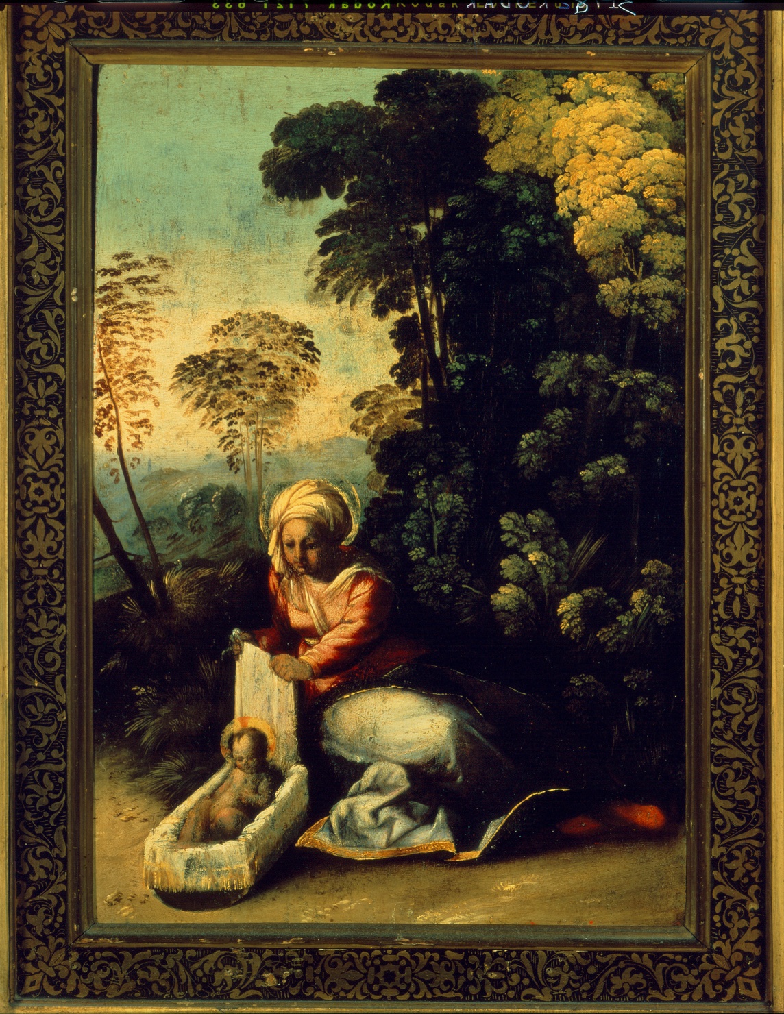 la Zingarella, Madonna con Bambino (dipinto) di Luteri Giovanni detto Dosso Dossi (sec. XVI)