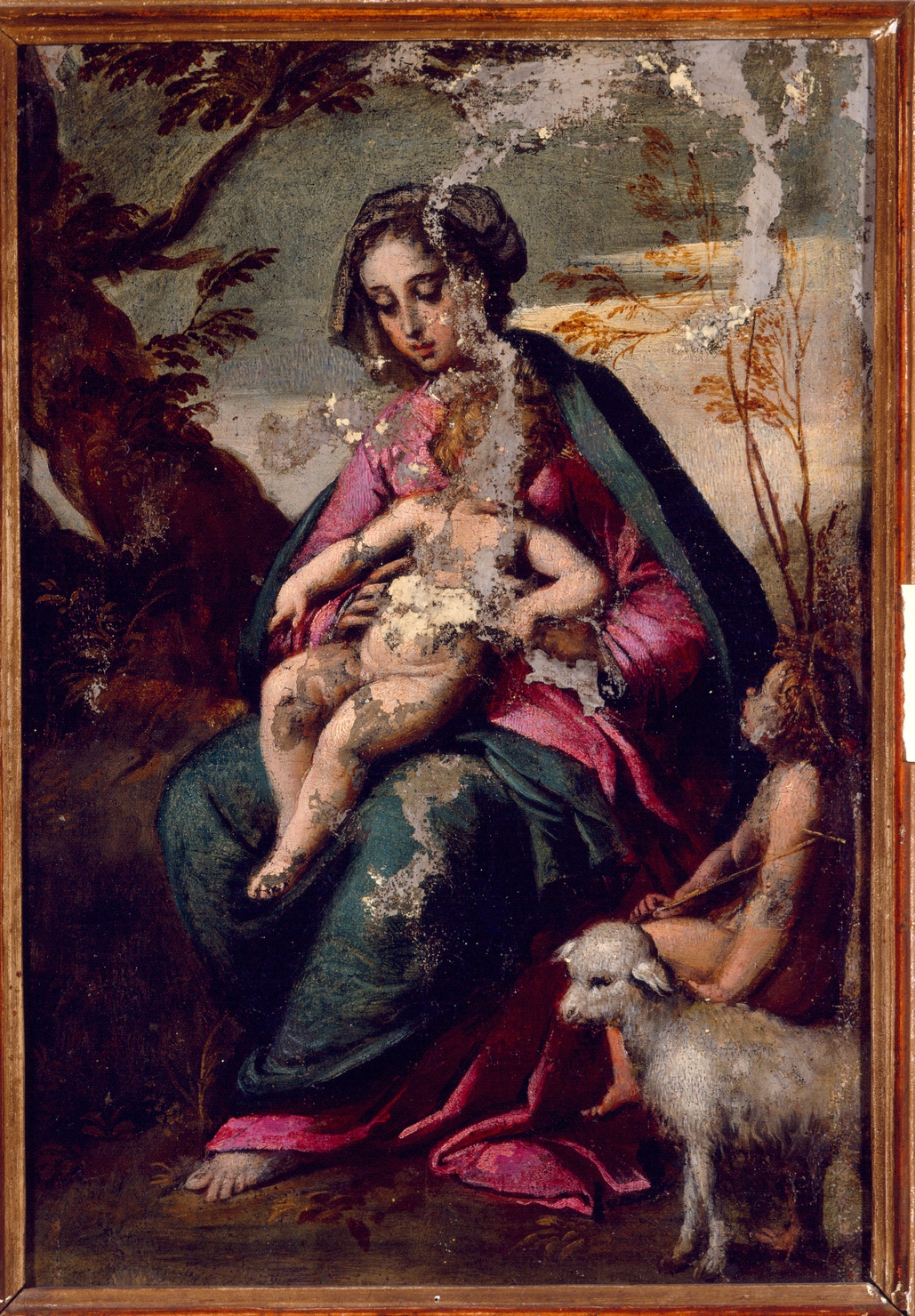 Madonna con Bambino e San Giovannino (dipinto) di Scarsella Ippolito detto Scarsellino (sec. XVI)