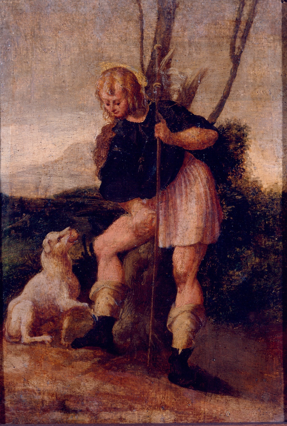 San Rocco e il cane (dipinto) di Anselmi Michelangelo detto Michelangelo da Lucca (sec. XVI)