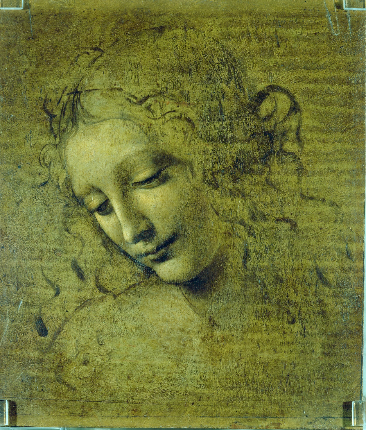 La scapiliata, Testa di fanciulla (dipinto) di Leonardo da Vinci (sec. XVI)