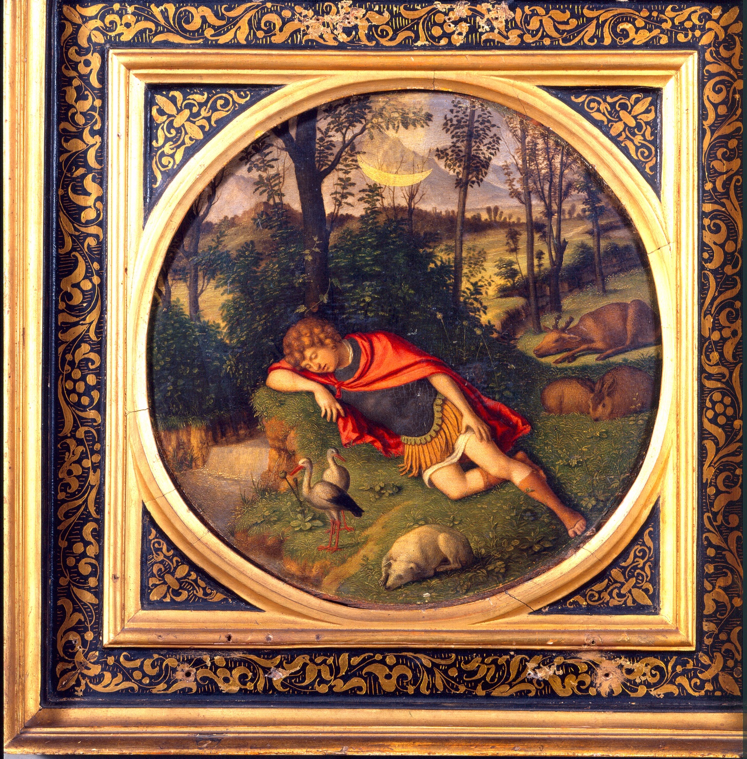Endimione dormiente (dipinto, frammento) di Cima Giovan Battista detto Cima da Conegliano (sec. XVI)