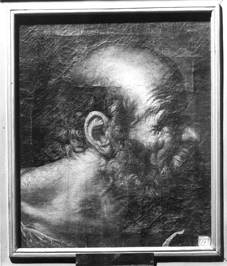 Testa d'uomo (dipinto, pendant) - ambito genovese (metà sec. XVII)