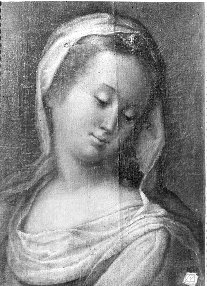 Testa di fanciulla (dipinto) - ambito cremonese (seconda metà sec. XVI)