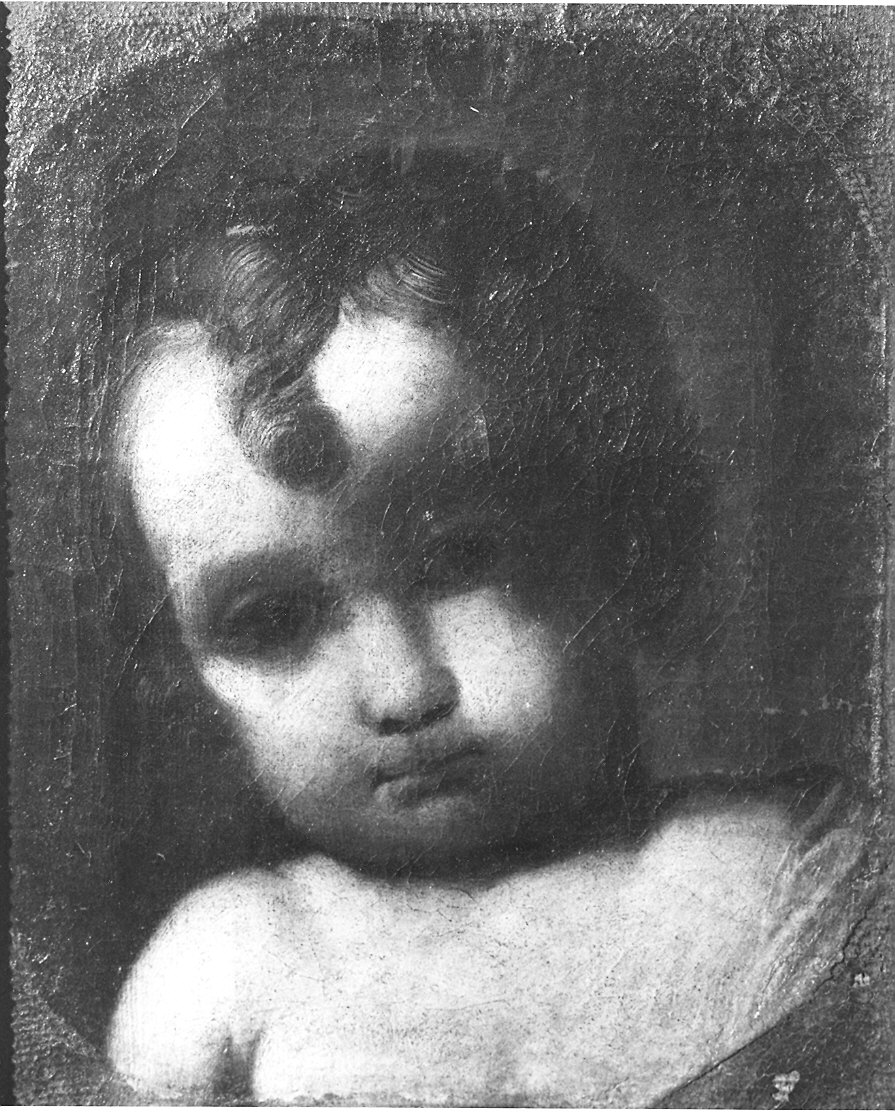 Testa di bambino (dipinto) di Diamantini Giuseppe (seconda metà sec. XVII)